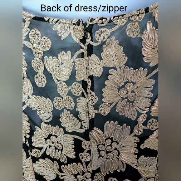 Alex Evenings/David's Bridal, Champagne-Black, Embroidered, Tulle Godets, Sz. 16 - Picture 8 of 15